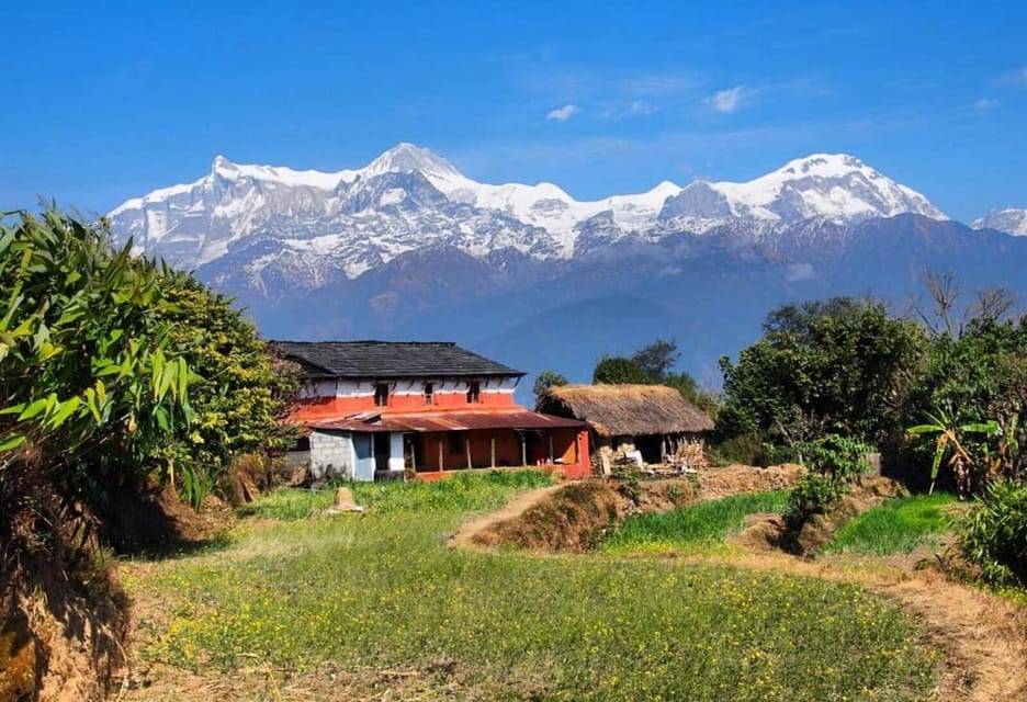 From Pokhara: Annapurna View Day Hike