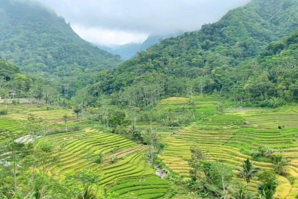 Borobudur: Nepal Van Java & Selogriyo Rice Terraces Private