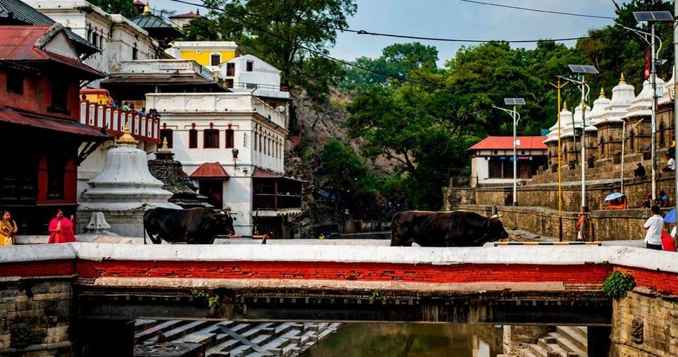 Kathmandu: Private Cultural and Heritage Day Tour