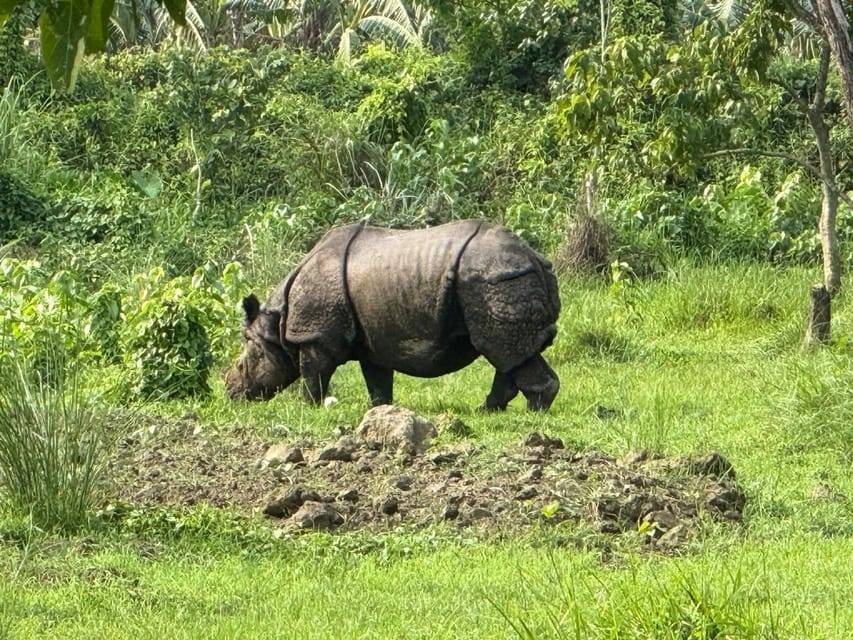 Chitwan Jungle Safari - 2 nights / 3 days