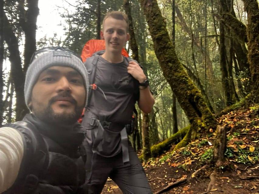 From Pokhara: Quick Mardi Himal Trek - 3 Days