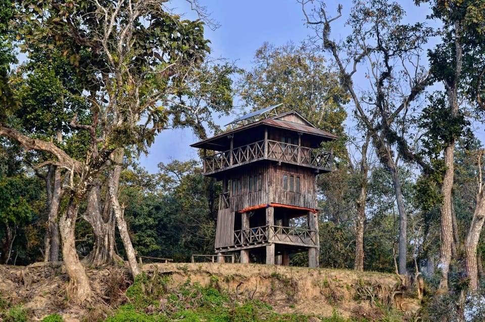Chitwan National Park: Tower Night Stay with Nature Guide