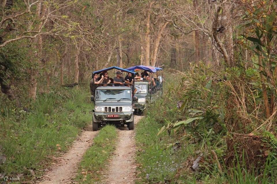 Chitwan: 1-Night Jungle Safari with Transfers from Kathmandu