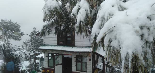 Sherpa Alpine Cottage — hotel in Nagarkot