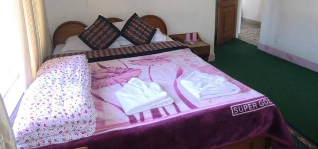 Hotel Green Tara — hotel in Pokhara