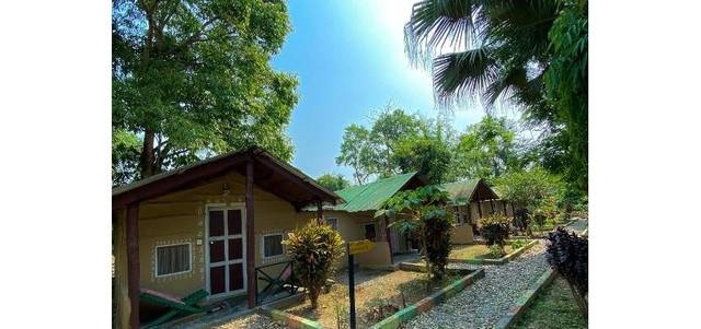 Nature Safari Camp — hotel in Sauraha