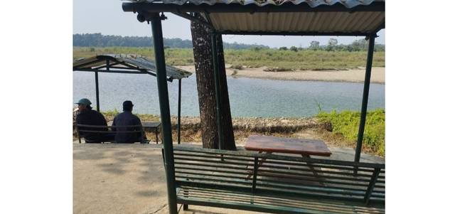Hotel Tree land lodge — hotel in Sauraha
