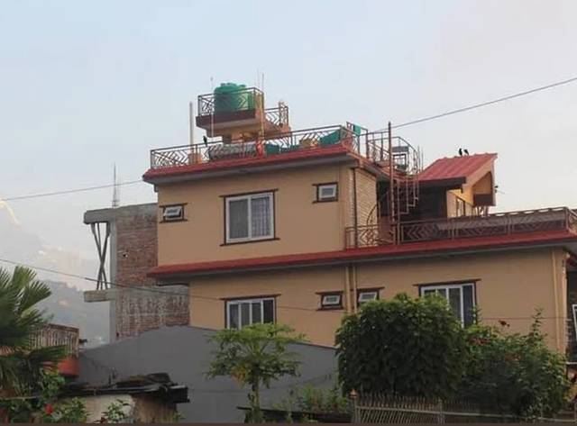 Golden Bird Homestay