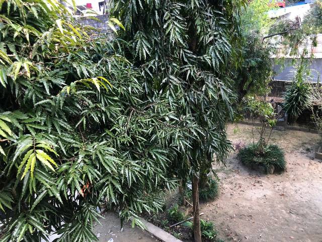 Cozy room for vacation with friendly environment