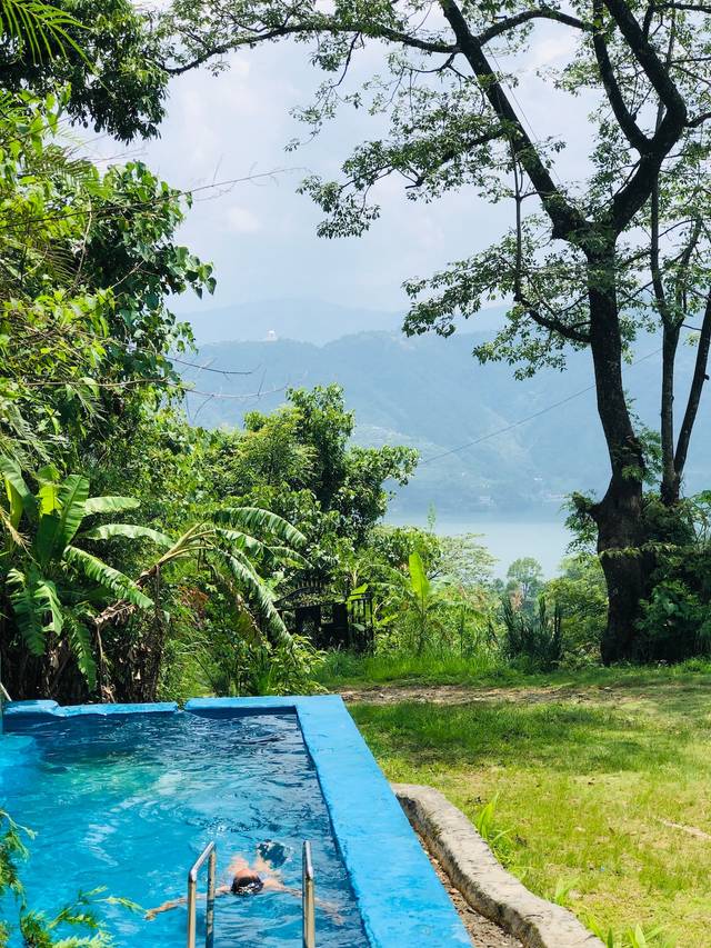 Peaceful forest cabin at Into the Wild Pokhara