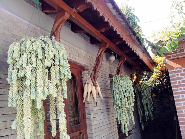 Apartment in Pokhara(Studio, Boutique, Eco)