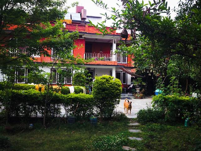 House with garden, trees n Flowers