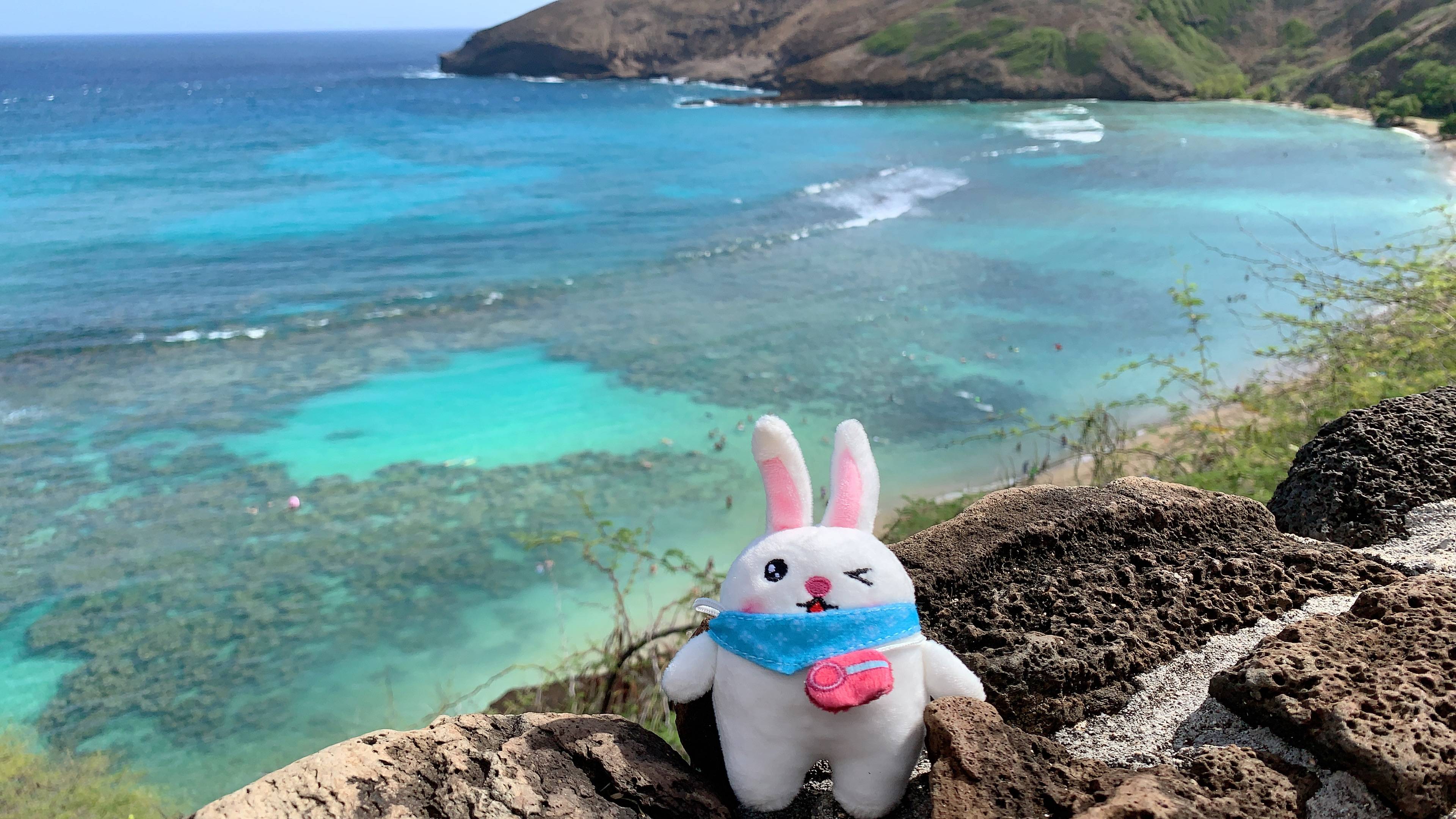6-Day Romantic Hawaii Tour with Big Island: Pearl Harbor, Honolulu City, Mini-Circle Island, Polynesian Cultural Center, The Big Island Tour Package from Honolulu