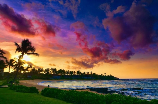 6-Day Amazing Hawaii Tour with Maui + Big Island: Pearl Harbor, Mini-Circle Island, Polynesian Cultural Center, Island of Maui & The Big Island Tour | Complimentary Airport Transfer