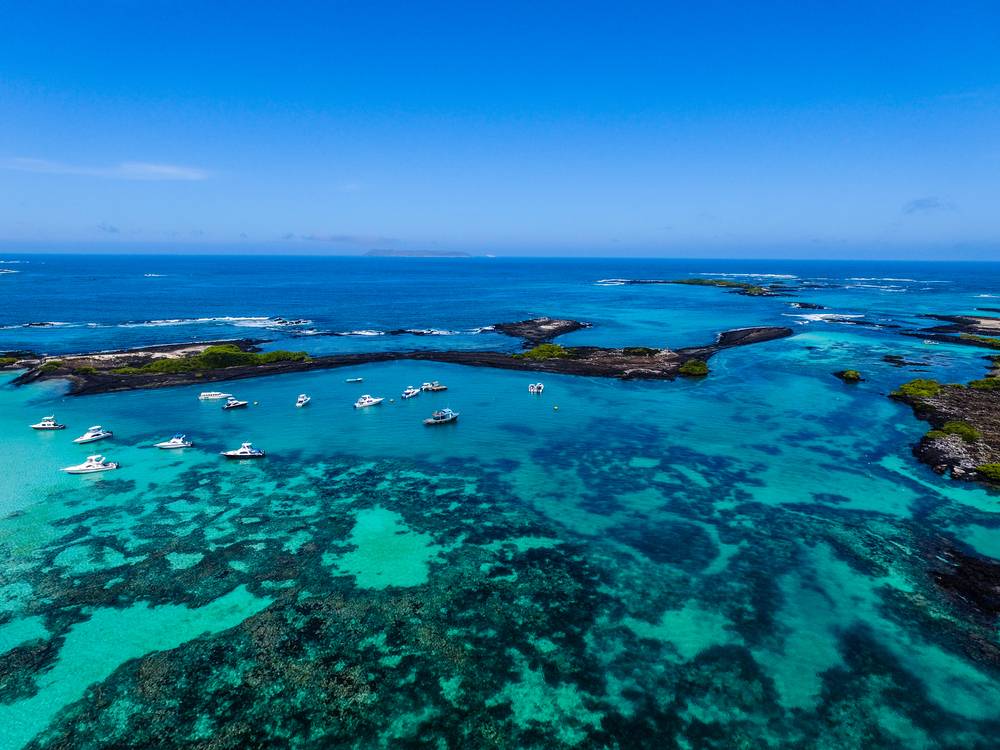 10-Day Galápagos Islands Hopping Tour from Quito: Reina Silvia Voyager Cruise + Diving | Small Group Tour