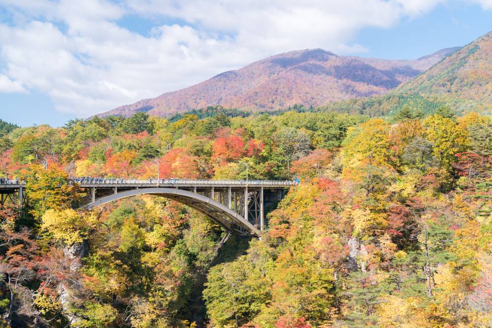 【Maple Foliage】3-Day Tour from Toronto: Agawa Canyon Railway and Algonquin Park | Admission in Algonquin Dorset Lookout Tower and 1 Day Free Breakfast Included