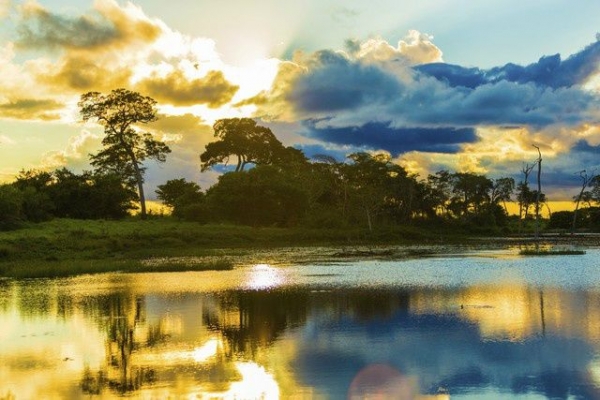 5-Day Amazon Boat Trip from Manaus