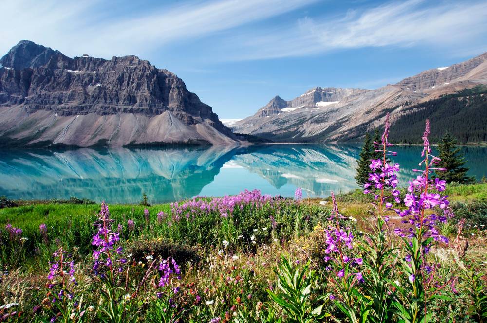 2-Day Amazing Tour from Calgary/Banff: Banff National Park, Bow Falls, Surprise Corner, Johnston Canyon, Bow Lake, Peyto Lake, Columbia Icefield