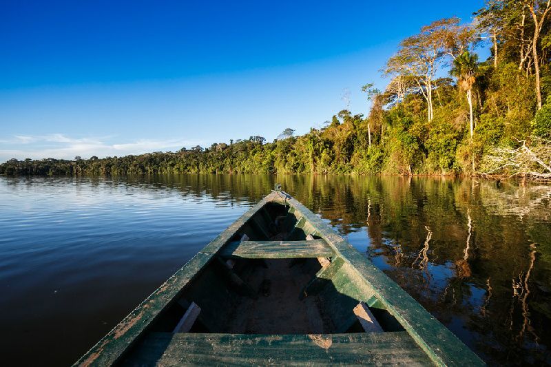 2-Day Amazon River Lodge Package from Manaus