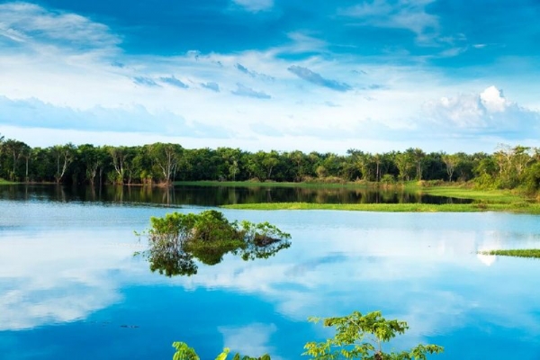 4-Day Amazon Jungle Grand Adventure from Manaus