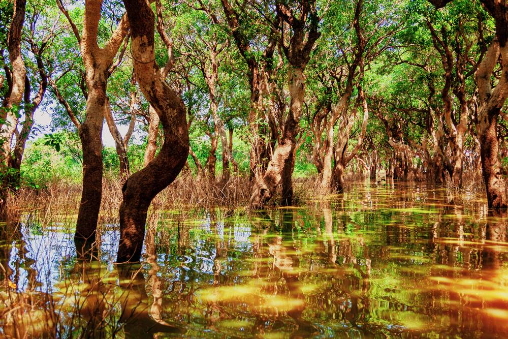 18-Day Discover Southeast Asia Tour from Bangkok: Chiang Mai, Luang Prabang, Hanoi, Ha Long Bay, Ho Chi Minh City, Phnom Penh and Siem Reap | Small Group Tour