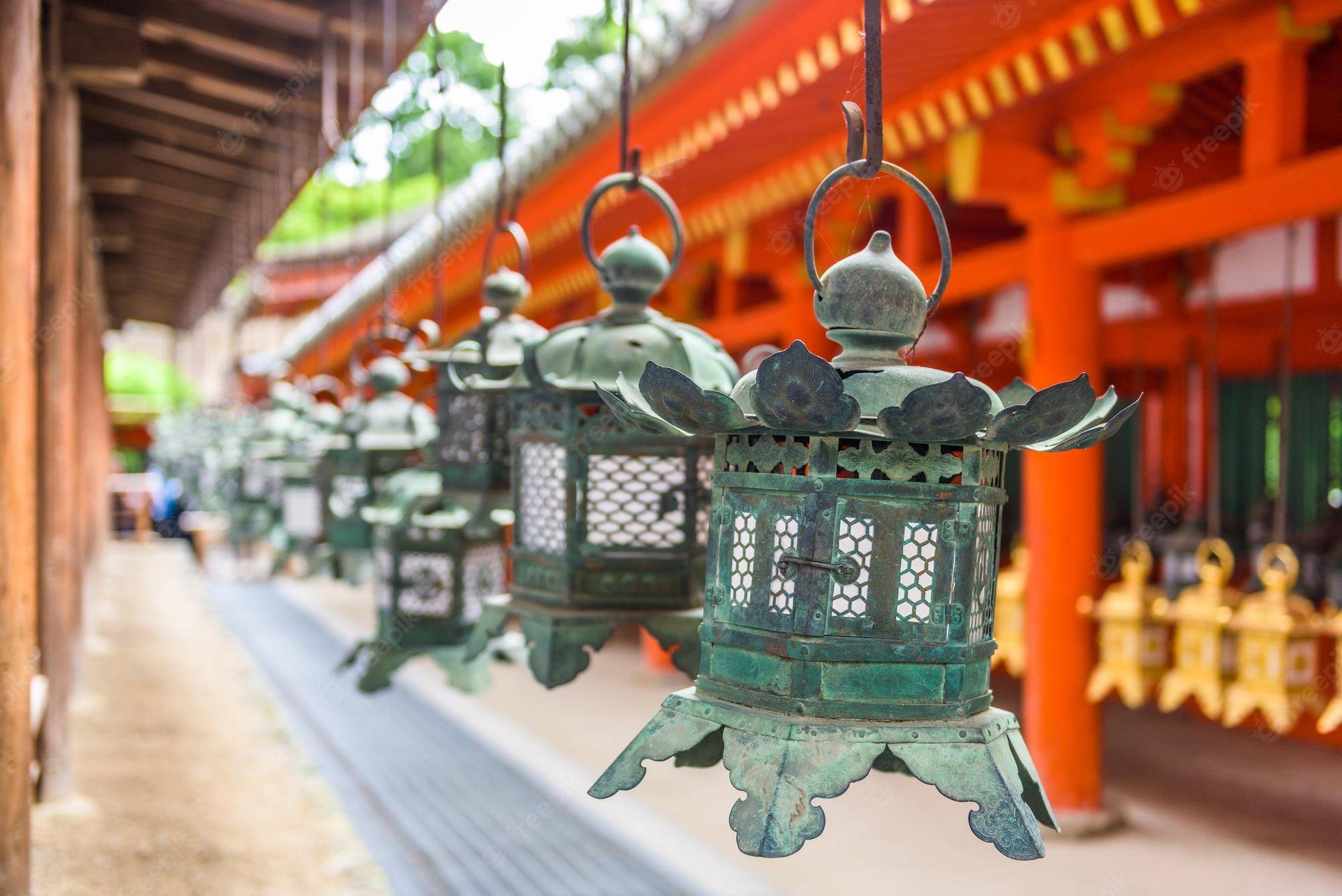 【Family Adventure】11-Day Japan Family Journey from Tokyo: Nagano, Kyoto and Nara | From Ancient to Modern Times | Small Group Tour