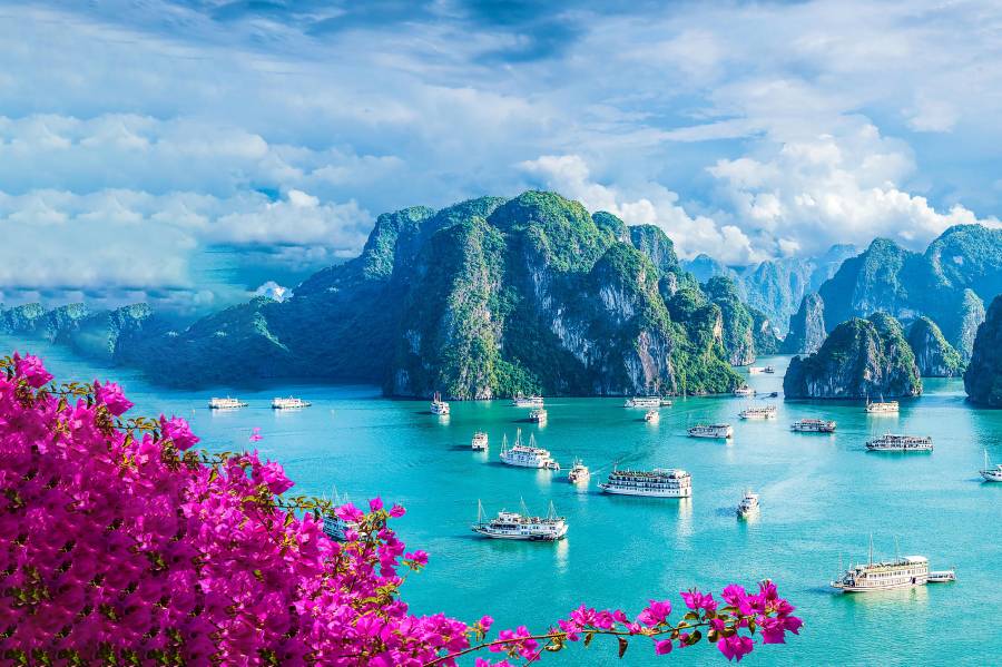 【Family Adventure】12-Day Vietnam Family Adventure Tour from Hanoi: Ha Long, Hue, Hoi An, Ho Chi Minh City and Mekong Delta | Small Group Tour