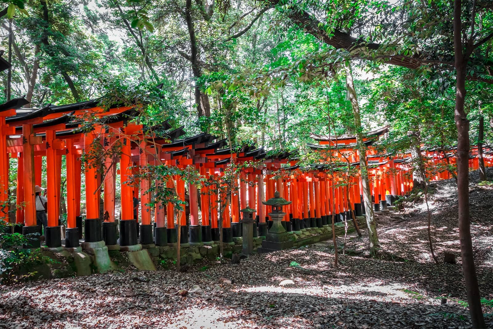 11-Day Back Roads of Japan Tour from Tokyo: Nagano, Otsu, Hagi, Tottori and Kyoto | Small Group Tour