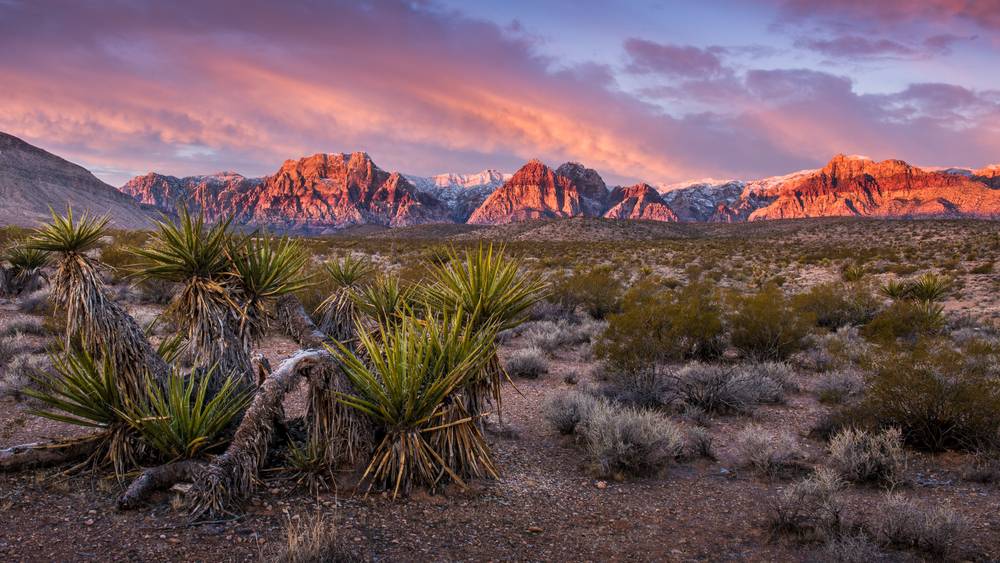 7-Day Alberta and Canadian Rockies Summer Unique Tour from Calgary with Airport Transfers: Royal Tyrrell Museum, Banff, Jasper, Yoho and Waterton National Park