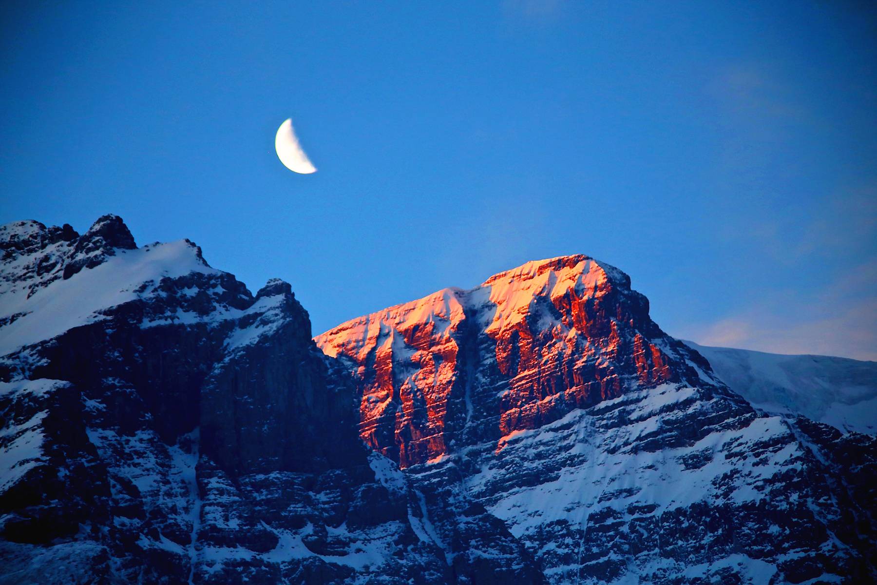 7-Day Canadian Rockies Summer Tour·Banff, Jasper, Yoho & Waterton Lakes + Lake Louise, Columbia Icefield & Moraine Lake | Airport Pickup Service