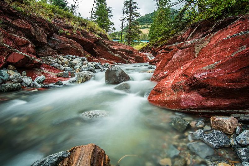 5-Day Canadian Rockies Summer Classic Tour from Calgary with Airport Transfers: Banff, Columbia Icefield, Yoho and Waterton National Park