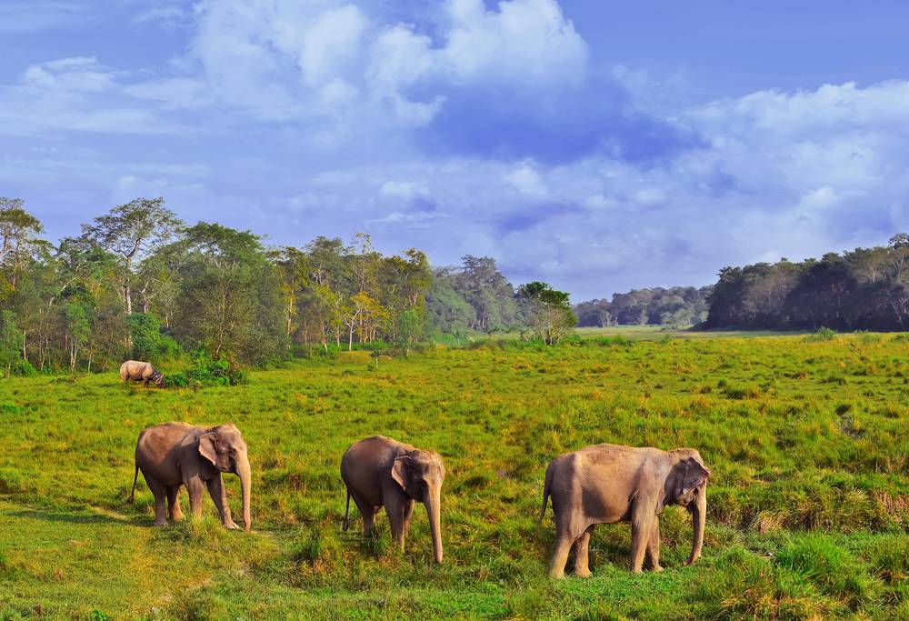 15-Day Delhi to Kathmandu Adventure: Jaipur, Āgra, Orchha, Varanasi, Lumbini, Royal Chitwan National Park and Pokhara | Small Group Tour