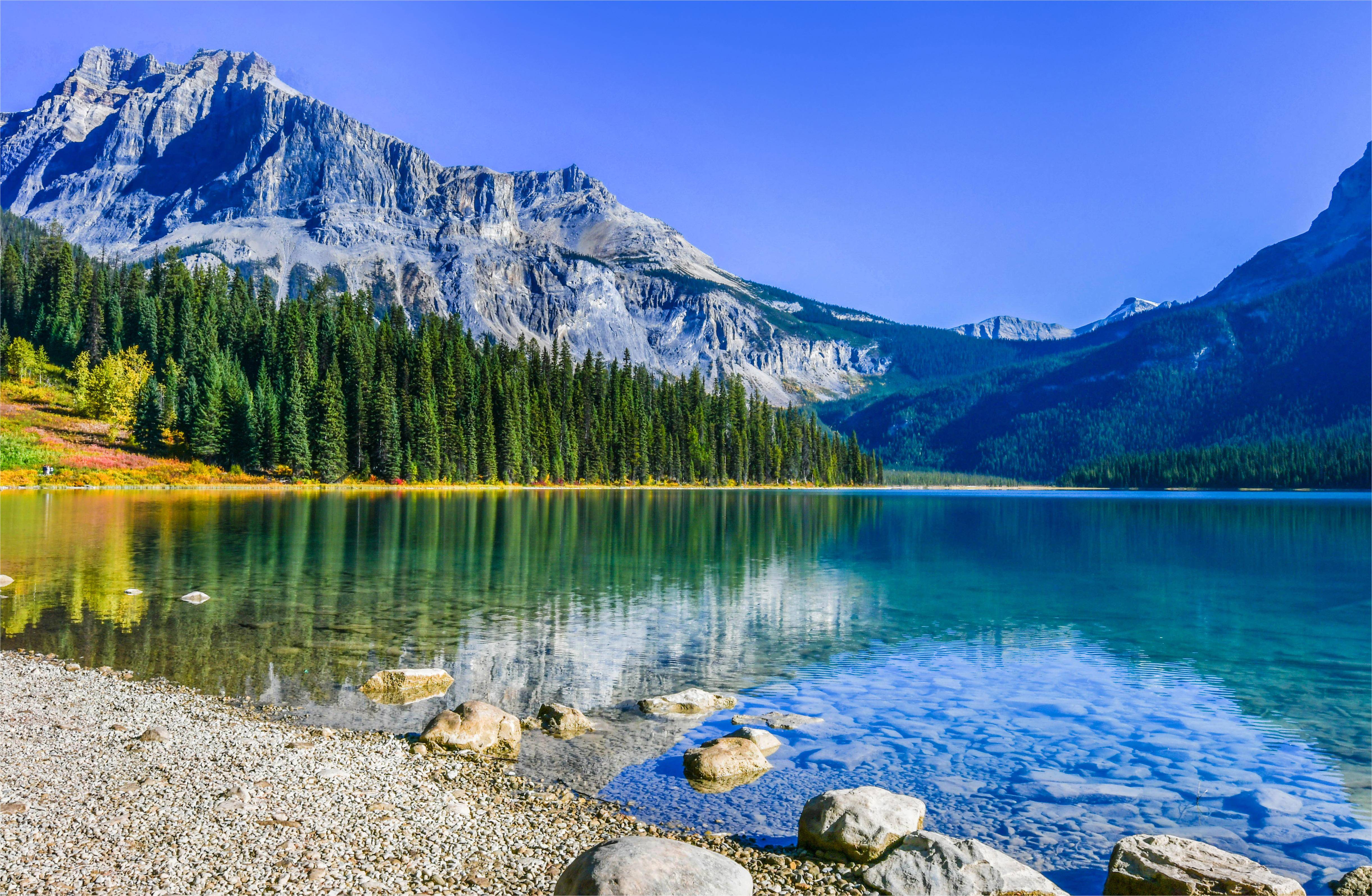 4-Day Canadian Rockies Tour from Calgary·Lake Louise, Moraine Lake, Columbia Icefield & Icefields Parkway, Banff & Yoho National Park | Airport Transfers Included
