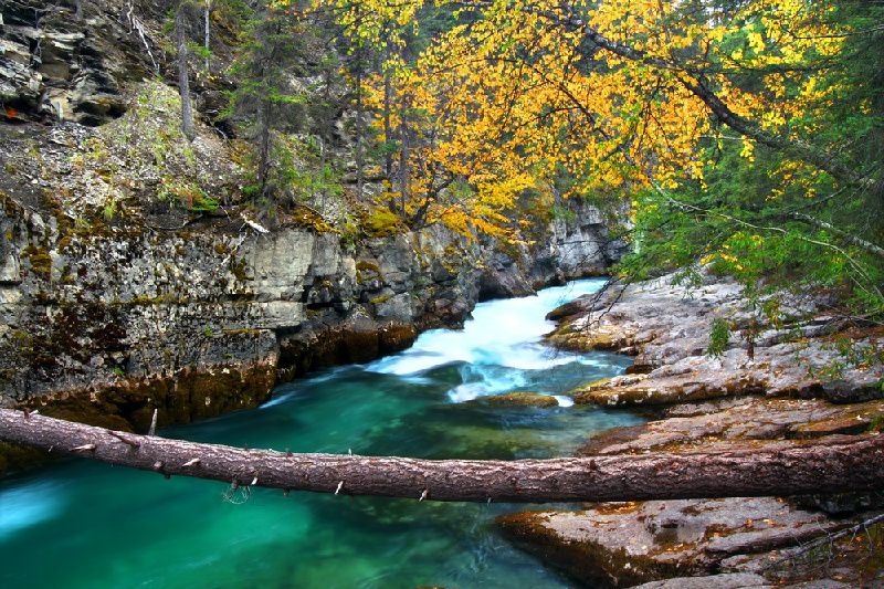 3-Day Canadian Rockies Summer Tour·Banff National Park, Jasper, Columbia Icefield, Banff Gondola & Maligne Lake