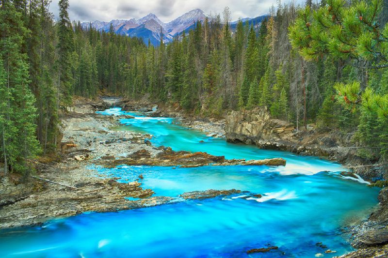 3-Day Canadian Rockies Summer Relax Tour from Calgary with Airport Transfers: Banff National Park and Columbia Icefield