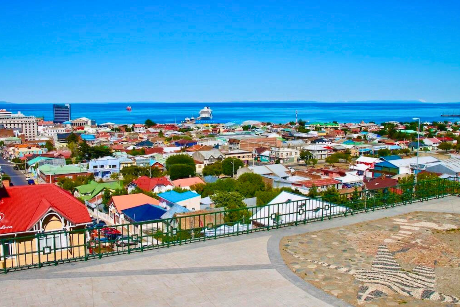 3-Day Punta Arenas Private Tour: Marine Fauna of the Austral Extreme