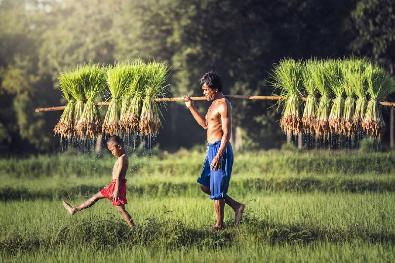 10-Day Cultural Vietnam Tour from Ho Chi Minh city to Danang, Mekong Delta, Hoi An, Halong Bay & Hanoi
