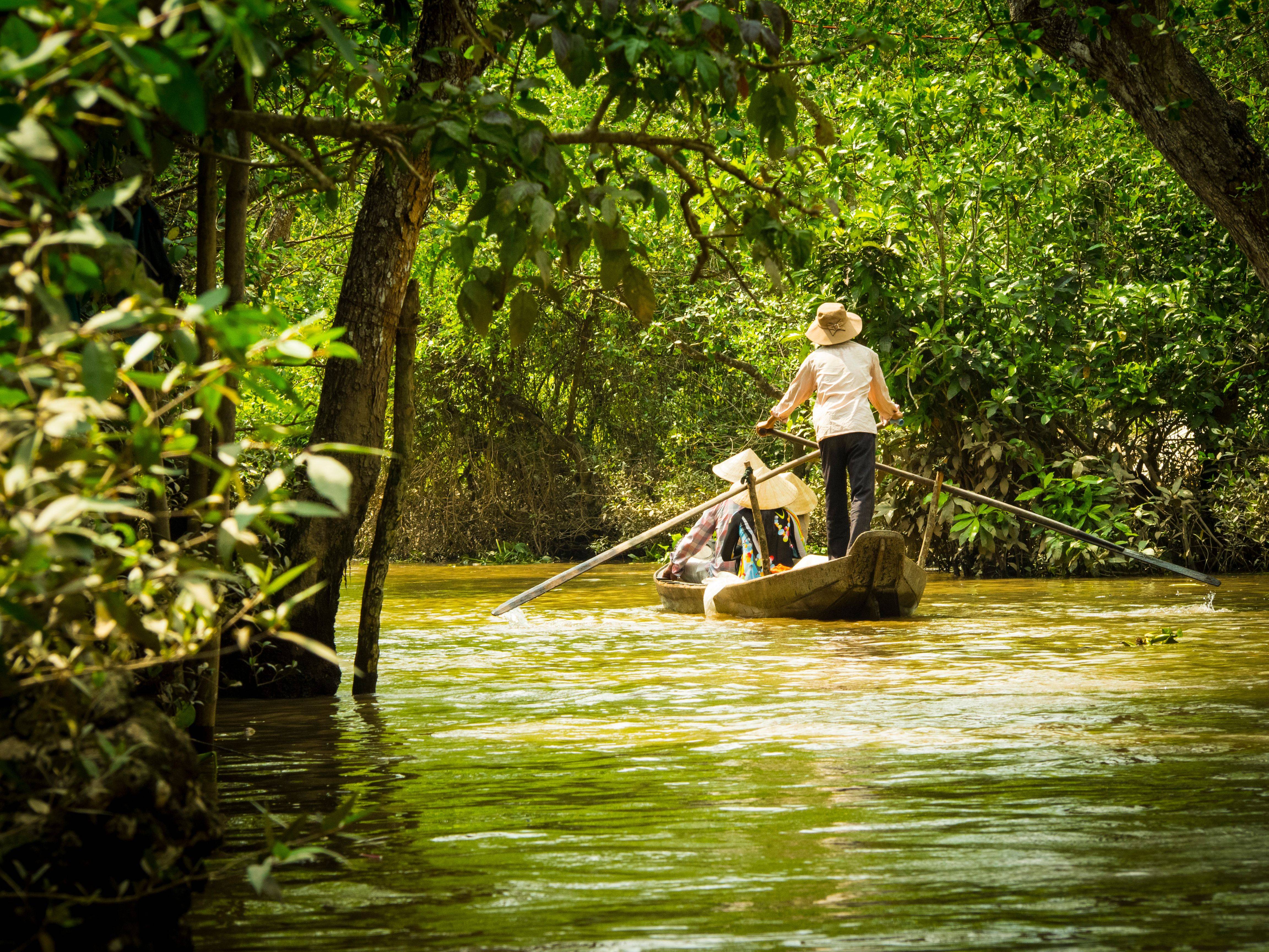 10-Day Vietnam Highlights Tour from Ho Chi Minh City: Mekong Delta, Hoi An, Hue, Phong Nha and Halong Bay Cruise | Airport Transfer Included