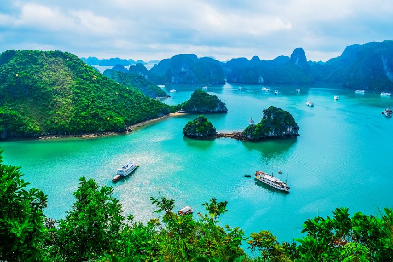 7-Day Complete Vietnam Tour from Hanoi: Ninh Binh, Halong Bay and Ho Chi Minh City (Saigon)