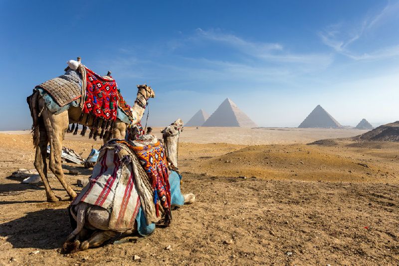 8-Day Exclusive Egypt Tour from Cairo: Aswan, Nile Cruise, Kom Ombo, Edfu, Luxor, Hurghada | Small Group Tour of Max 20 Pax | All Inclusive 
