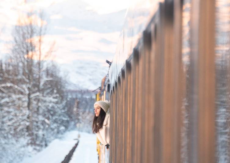 【Alaska Aurora Viewing】7-Day Anchorage & Fairbanks Tour from Anchorage: Santa Claus House and Museum of the North丨3 Aurora Viewing Opportunities 