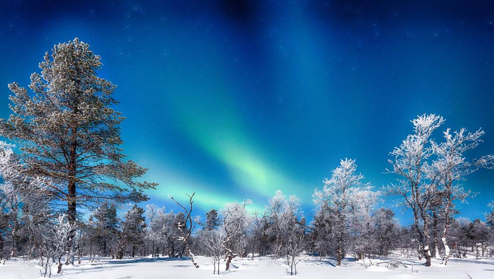7-Day Arctic Adventure Tour from Helsinki/Rovaniemi/Oulu/Kemi: Icebreaker ABBA Cruise, Santa Claus Village, Reindeer and Husky Safari, King Crab Fishing | Polar VR Train • Free Reindeer Farm