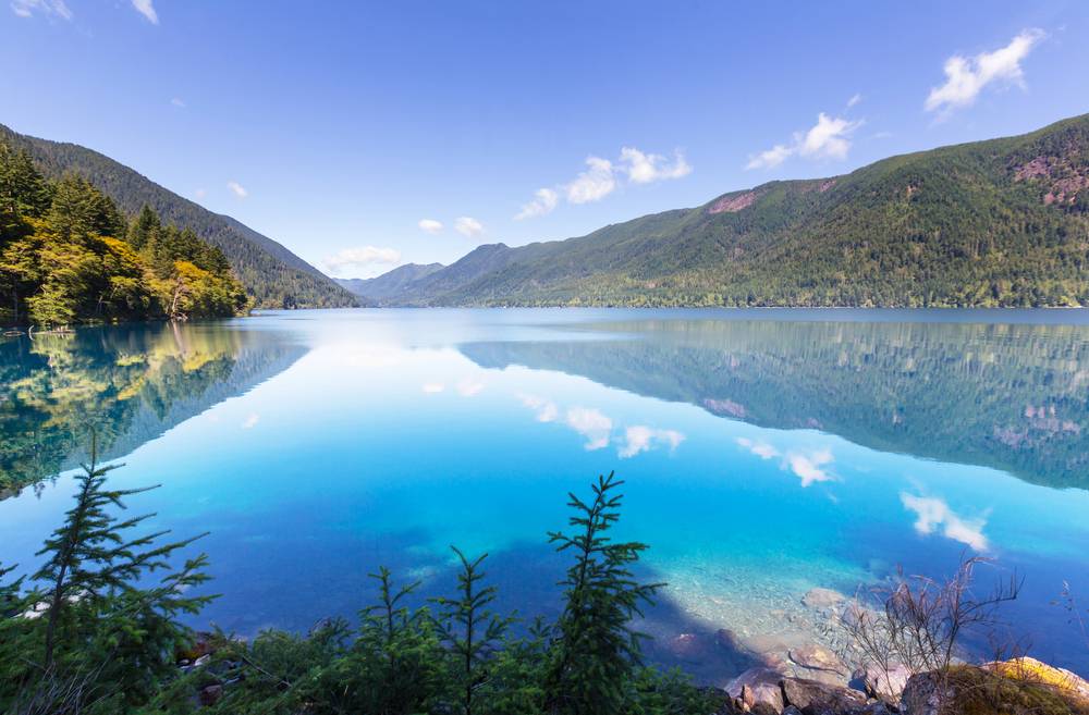 4-Day Seattle Tour: Olympic National Park and 3-Day Free Day (Optional Mount Rainier / Snoqualmie Falls / Vancouver City Tour / Seattle City Tour) | Hotel Breakfasts