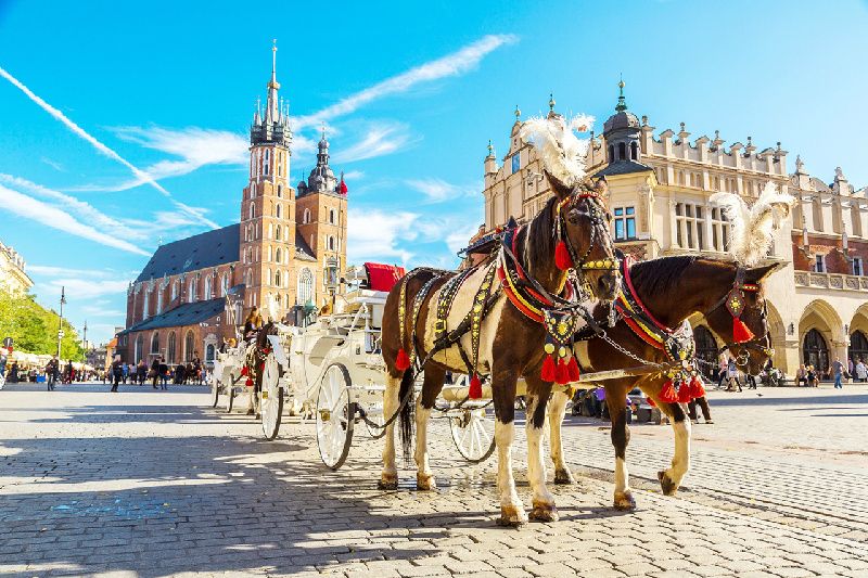 7-Day Poland Splendours Multi-languages Tour from Krakow: Warsaw and Gdansk 