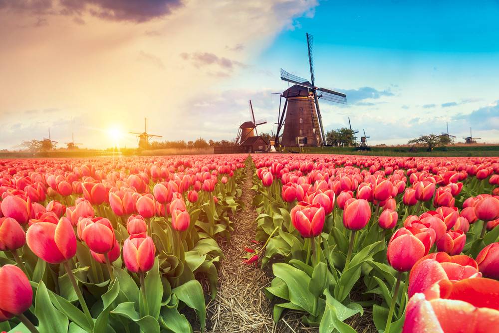 6-Day Charming Tour from Amsterdam to Paris: Zaanse Schans, Volendam, Marken | Ticket Admission to 2nd Floor Eiffel Tower | Boat to River Seine
