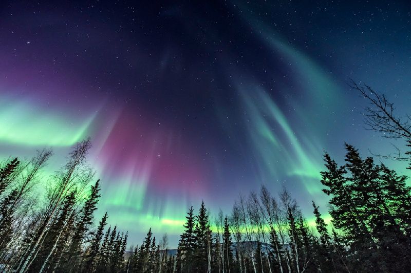 4-Day Borealis Basecamp Northern Lights Package from Fairbanks **Aurora Viewing**