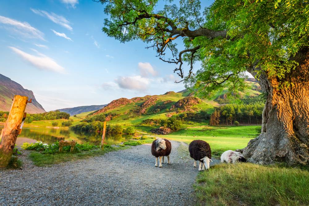 7-Day England & Scotland Loop Tour with Historical Sites & Landscapes: Cambridge, York, Edinburgh, Glasgow, Manchester, Windsor, Swindon