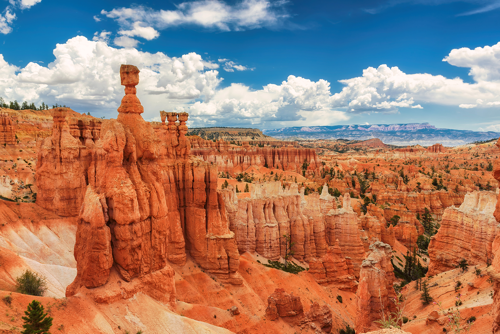 7-Day Magnificent US West Tour from San Francisco[All-Inclusive Tour]: Golden Gate Bridge, Monument Valley, Horseshoe Bend, Antelope Canyon