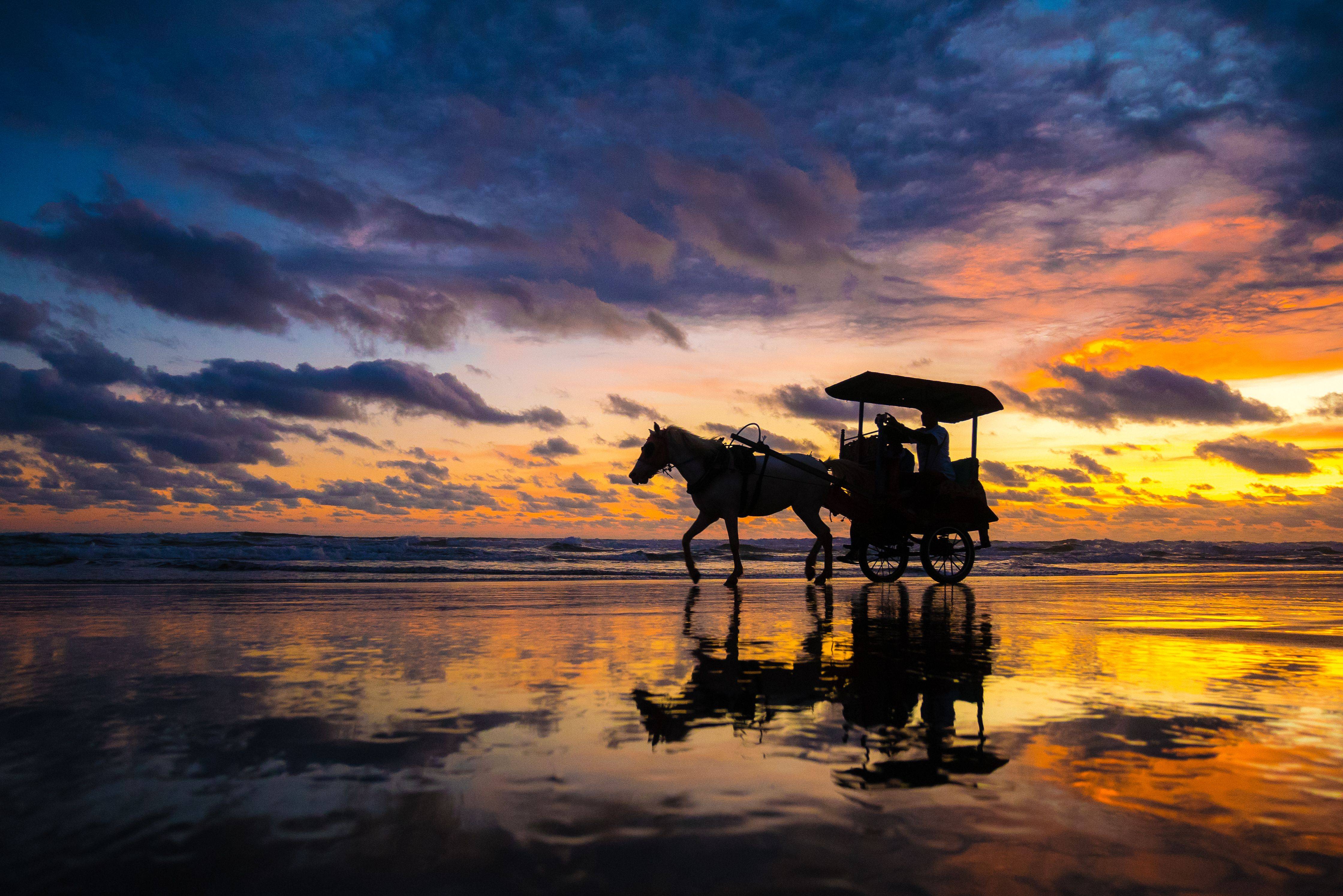 4-Day Yogyakarta Exotic Dieng Plateau: Borobudur Temple, Kraton, Taman Sari Water Castle, Kasongan Village and Parangtritis Beach**Private Tour****Airport Transfers****Meals Mentioned Included**