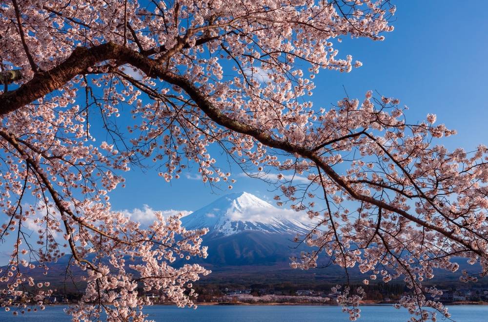 7-Day Essential Japan Tour from Tokyo: Mt. Fuji, Kyoto and Osaka | Lake Kawaguchiko, Fushimi Inari & Dotonbori Highlights